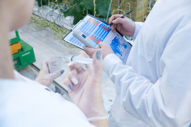 Similar image 20959911