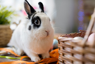 Similar image 20968403