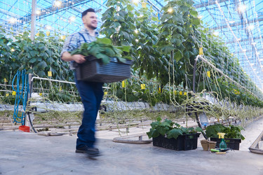 Similar image 20904210