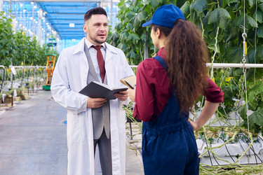 Similar image 20940046