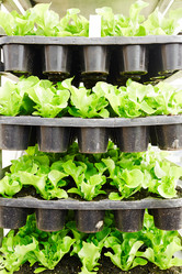 Similar image 20952923