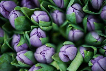 Similar image 20942370