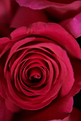 Similar image 20902804