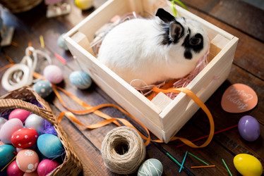 Similar image 20905926