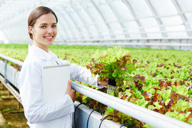 Similar image 20965113