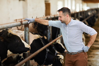 Similar image 20929776