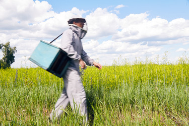 Similar image 20911139