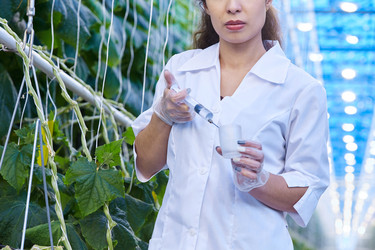 Similar image 20912828