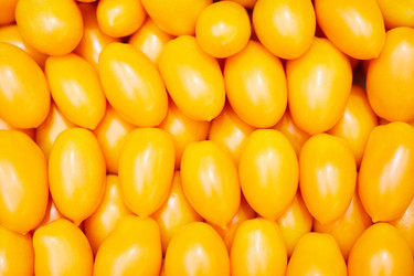 Similar image 20956886