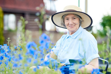 Similar image 20917145