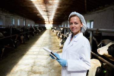 Similar image 20953200