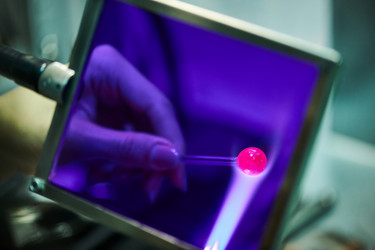 Similar image 20914962