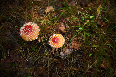 Similar image 20967890