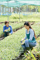 Similar image 20905719