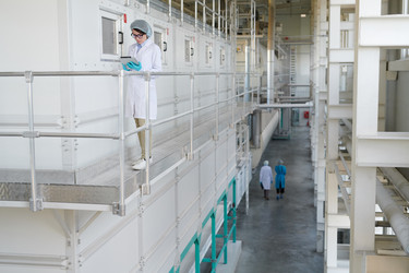 Similar image 20905324