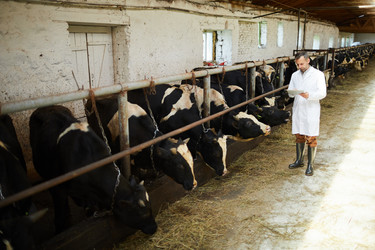 Similar image 20904585