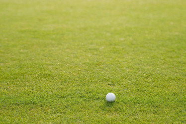 Similar image 20921476