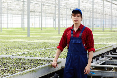 Similar image 20924167