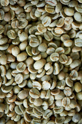 Similar image 20933693