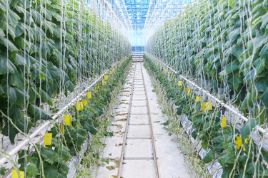 Similar image 20891174