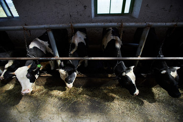 Similar image 20929803