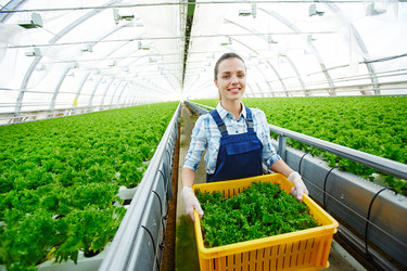 Similar image 20944659