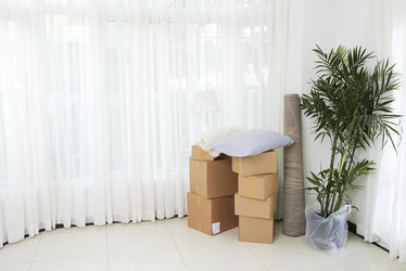 Similar image 20902504