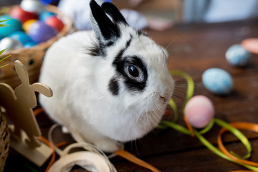 Similar image 20951934