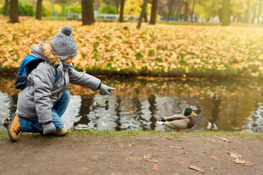 Similar image 20930748