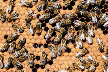 Similar image 20911977