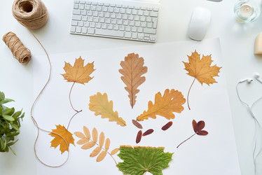 Similar image 20905958