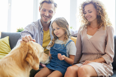 Similar image 20894923