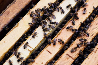 Similar image 20941738