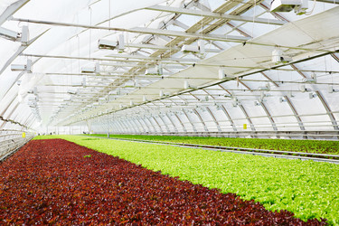 Similar image 20949089