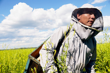 Similar image 20920553