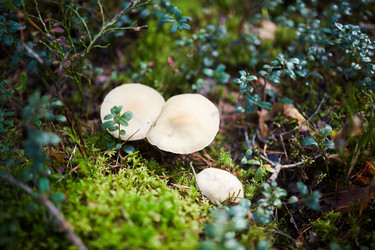 Similar image 20937765