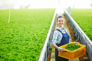 Similar image 20960923