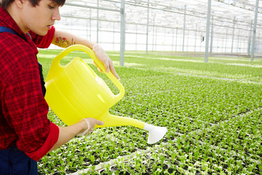 Similar image 20916657