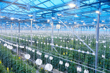 Similar image 20957510