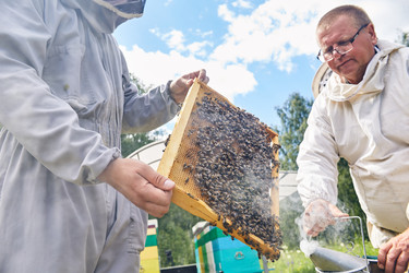 Similar image 20967098