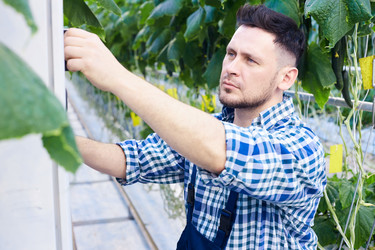 Similar image 20943969