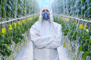 Similar image 20906527