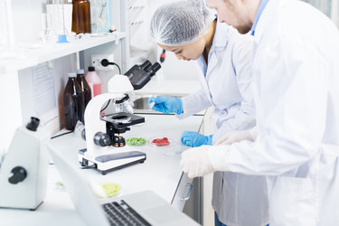 Similar image 20960009