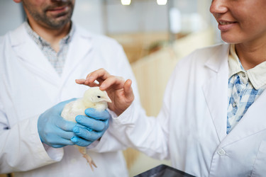 Similar image 20937612