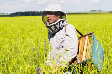 Similar image 20905991