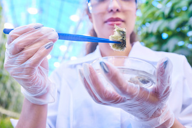 Similar image 20891077