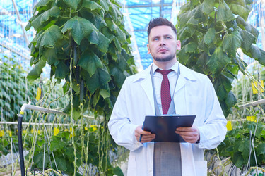 Similar image 20951084