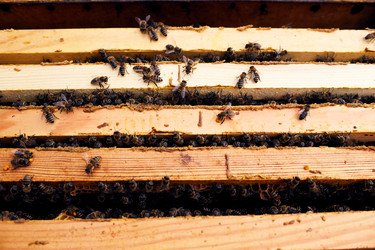 Similar image 20929824