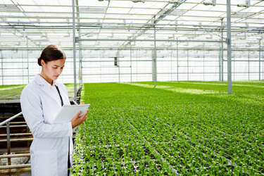 Similar image 20913316