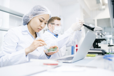 Similar image 20915234